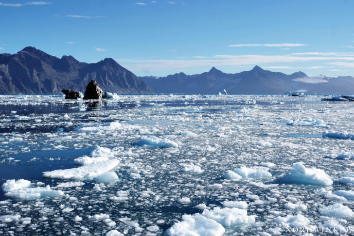 Fridjof-Nansen-Fjord I Fridjof-Nansen-Fjord I