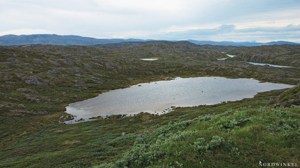 Blick über die grüne Seen durchzogene Fjälllandschaft auf dem Arctic Circle Trail