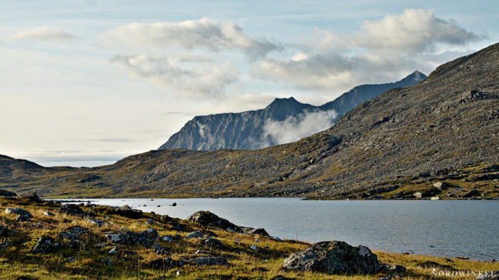 Sarek III Sarek III