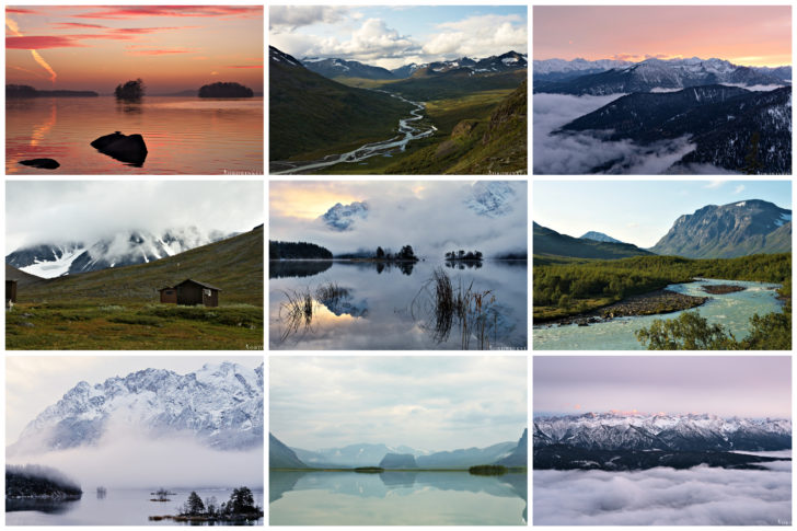 Best Nine 2019 Best Nine 2019