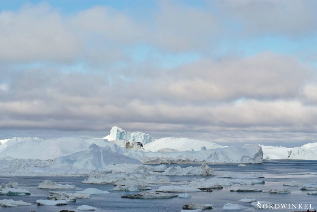 eisberge und eisschollen treiben im eisfjord bei ilulissat